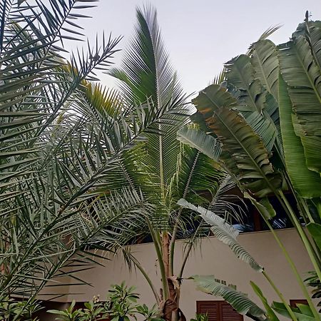 Casa Das Buganvilias Praia Exterior photo