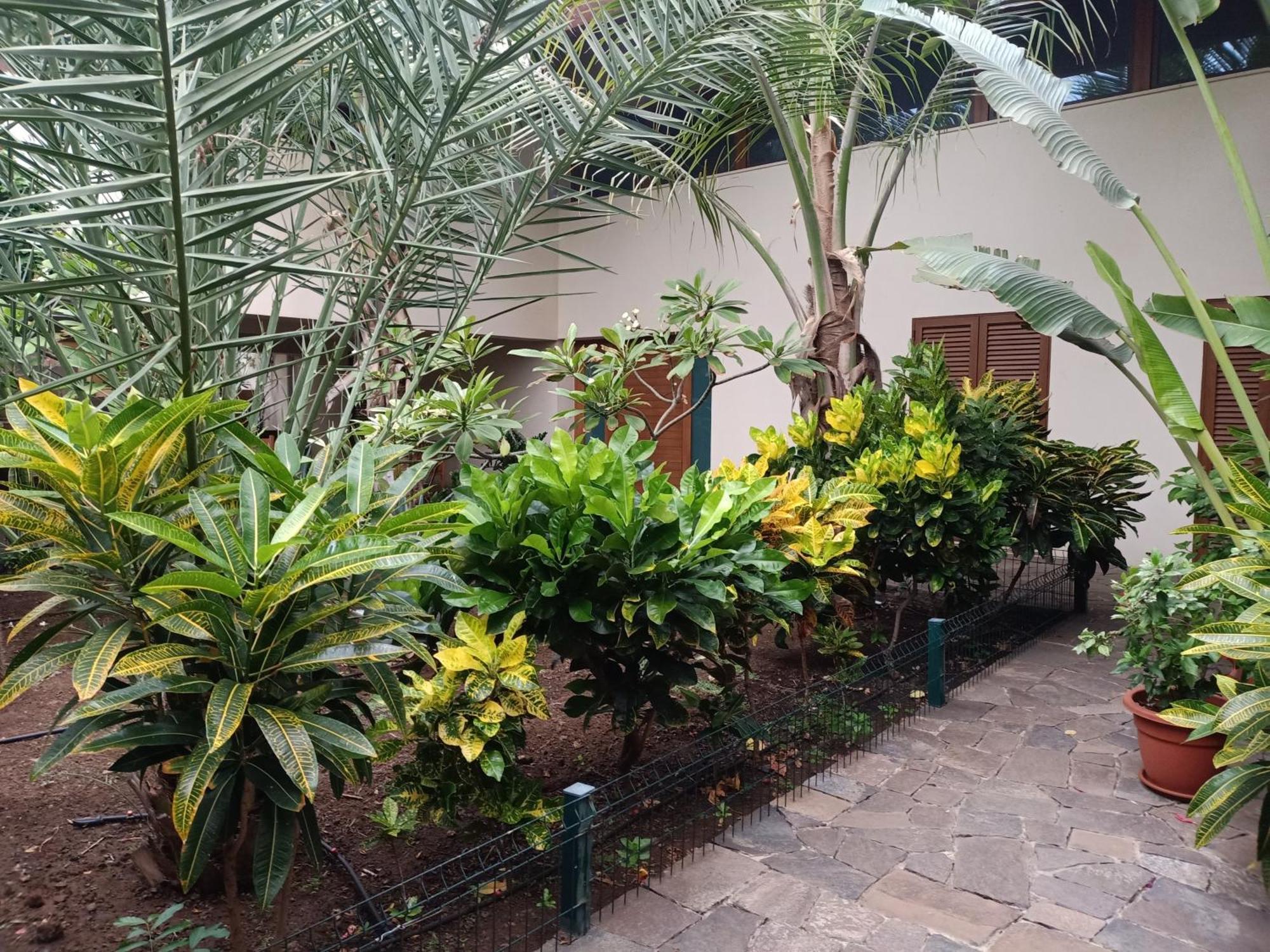 Casa Das Buganvilias Praia Exterior photo